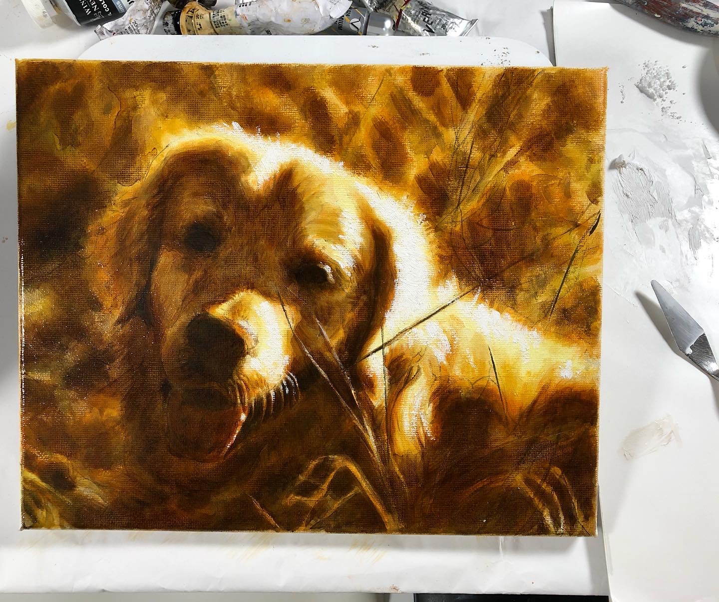 犬の描き方 リアルな油絵の描き方を簡単解説 絵画をたしなむ